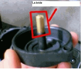 [Image: img10.gif]