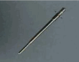 [Image: img13vj8.gif]