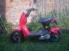 mini_704920DSC00082jpg.jpg