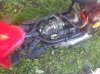 mini_496388DSC00097jpg.jpg