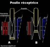 poulie-receptrice.jpg