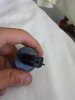 20160809_153015.jpg
