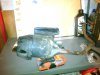 IMG_20161209_164332.jpg